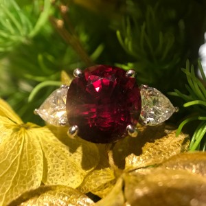 rubyring2