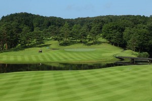 21272526_1198921703584523_8644818553538606530_n