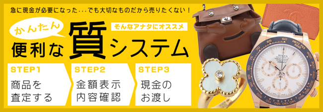 かんたん質システム