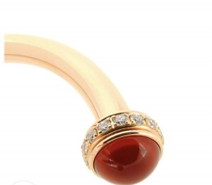 C9DEE946-DD2A-4FBA-A510-074359F51E7D