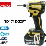 TD171DGXFY