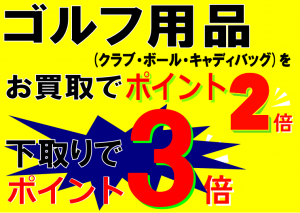 ポイント2倍3倍